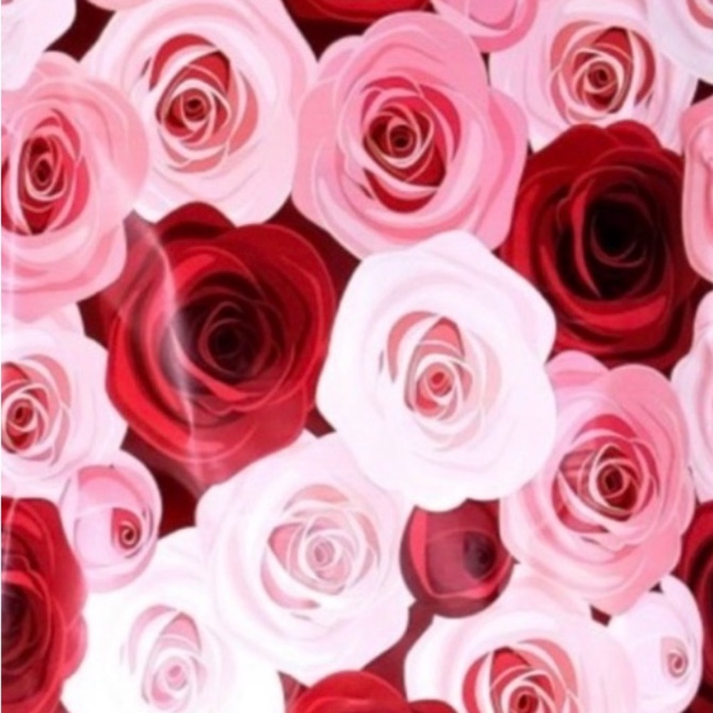 25 10x13 Poly Mailers Rose Garden Variety Bundle - Picture 5 of 8